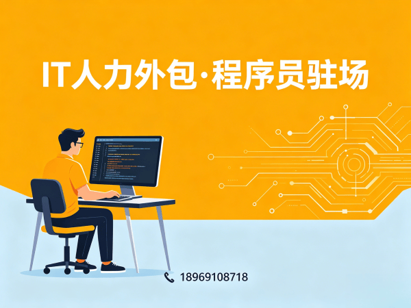 成都IT人力外包解决方案：破解软件开发驻场难题，助力企业高效发展