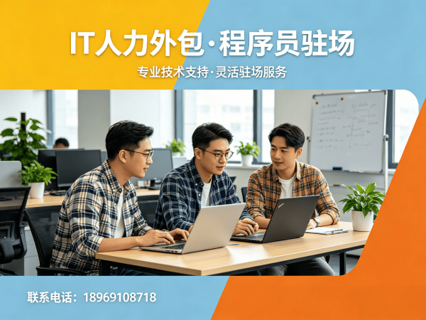 合肥IT人力外包解决方案：Golang程序员驻场开发如何破解企业招聘难题